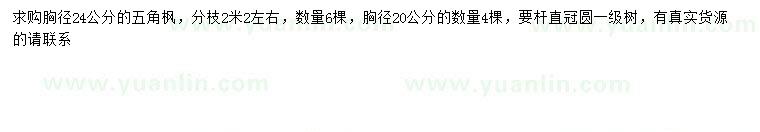 求購胸徑20、24公分五角楓