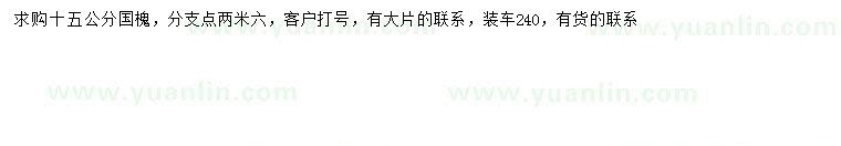 求購15公分國槐