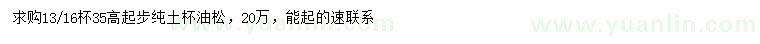 求購(gòu)高35公分以上油松