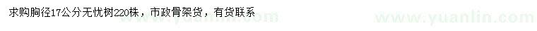 求購胸徑17公分無憂樹