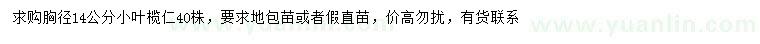 求購胸徑14公分小葉欖仁