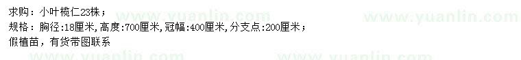 求購胸徑18公分小葉欖仁