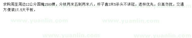 求購12公分國槐