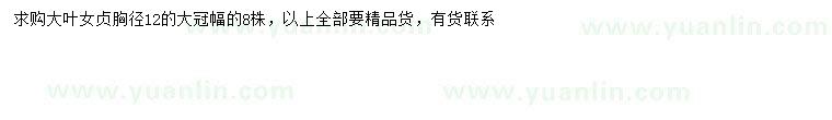 求購胸徑12公分大葉女貞