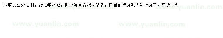 求購10公分法桐