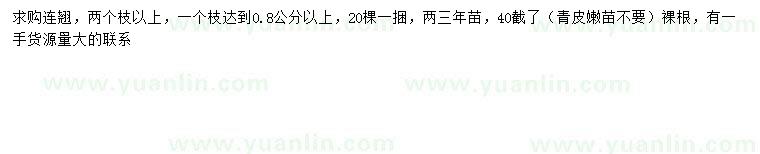 求購2分支以上連翹