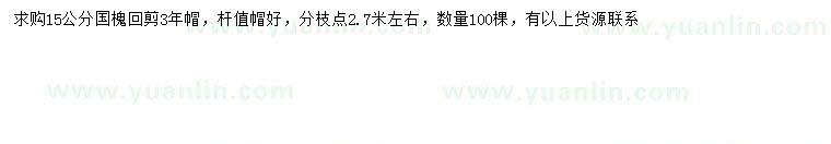求購15公分國槐