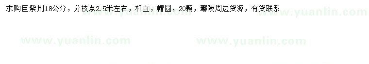 求購(gòu)18公分巨紫荊