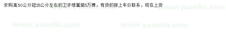 求購高50公分衛(wèi)矛