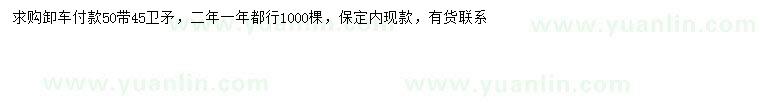 求購45-50公分衛(wèi)矛