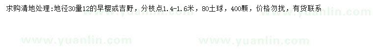 求購30量12公分早櫻、染井吉野櫻