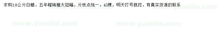 求購18公分白蠟