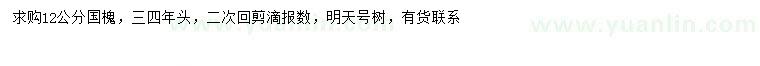 求購12公分國槐