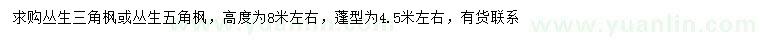 求購冠幅4.5米左右叢生三角楓、叢生五角楓