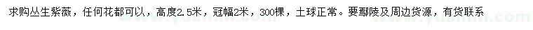 求購冠幅2米叢生紫薇