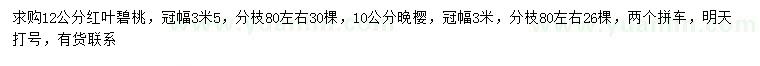 求購(gòu)12公分紅葉碧桃、10公分晚櫻