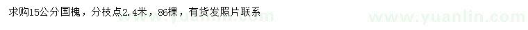 求購15公分國槐