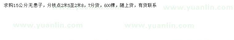 求購15公分無患子