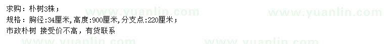 求購胸徑34公分樸樹