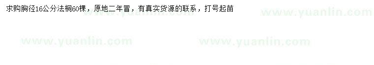 求購(gòu)胸徑16公分法桐