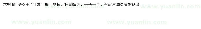 求購胸徑8公分金葉復(fù)葉槭