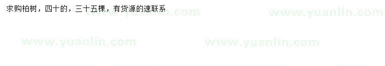 求購40公分柏樹