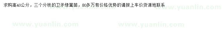 求購高40公分衛(wèi)矛