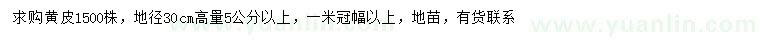 求購30量5公分以上黃皮