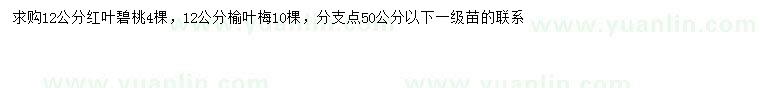 求購(gòu)12公分紅葉碧桃、12公分榆葉梅