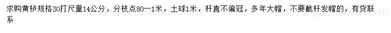 求購(gòu)30量14公分黃櫨