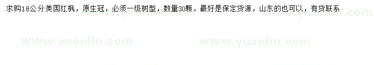 求購18公分美國紅楓