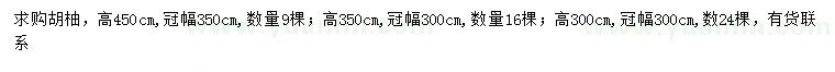 求購高3、3.5、4.5米胡柚