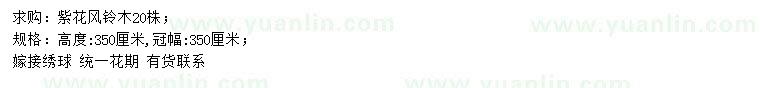 求購(gòu)高350公分紫花風(fēng)鈴木