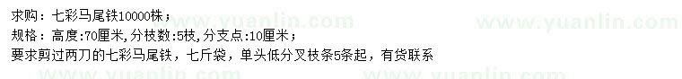 求購高70公分七彩馬尾鐵