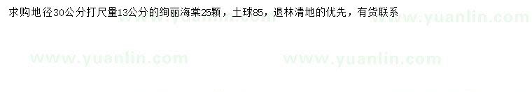 求購30量13公分絢麗海棠