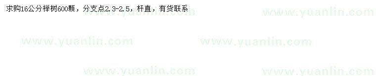 求購(gòu)16公分櫸樹