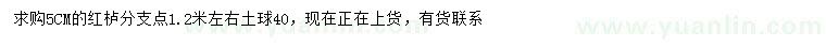 求購5公分紅櫨
