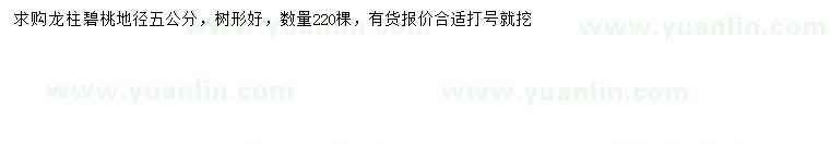 求購地徑5公分龍柱碧桃