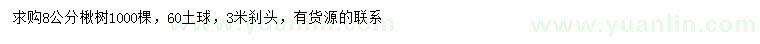 求購8公分楸樹