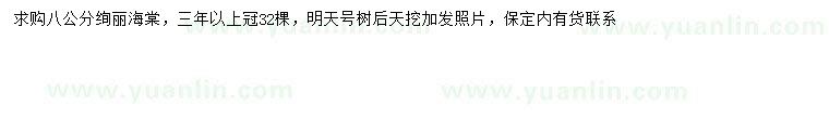 求購(gòu)8公分絢麗海棠