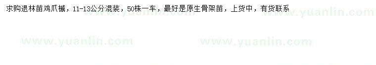 求購11-13公分雞爪槭