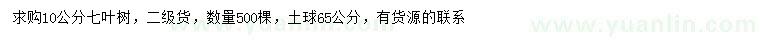 求購10公分七葉樹