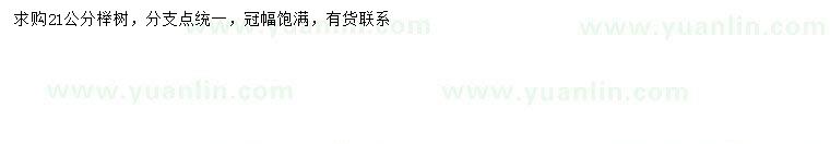 求購21公分櫸樹