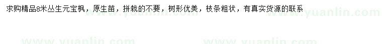 求購8米叢生元寶楓