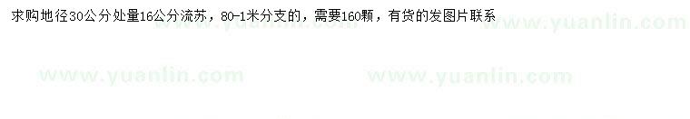 求購30量16公分流蘇