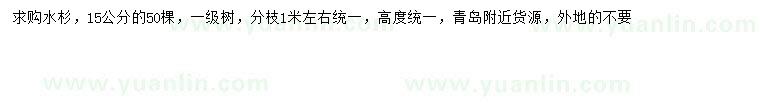 求購15公分水杉