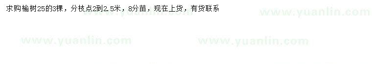 求購(gòu)25公分榆樹(shù)