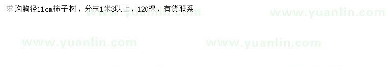 求購胸徑11公分柿子樹