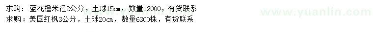 求購米徑2公分藍花楹、3公分美國紅楓