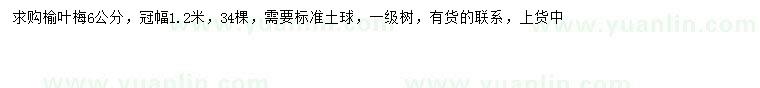 求購6公分榆葉梅